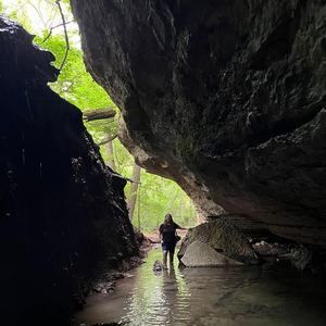 Meet your Posher, Jane